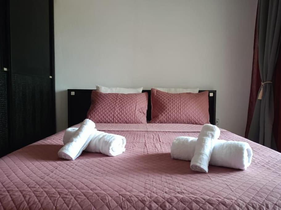 Layla Home Alexandrpoupolis Alexandroúpoli Extérieur photo