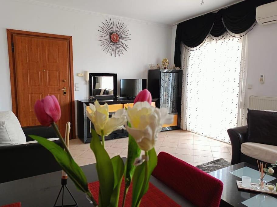 Layla Home Alexandrpoupolis Alexandroúpoli Extérieur photo